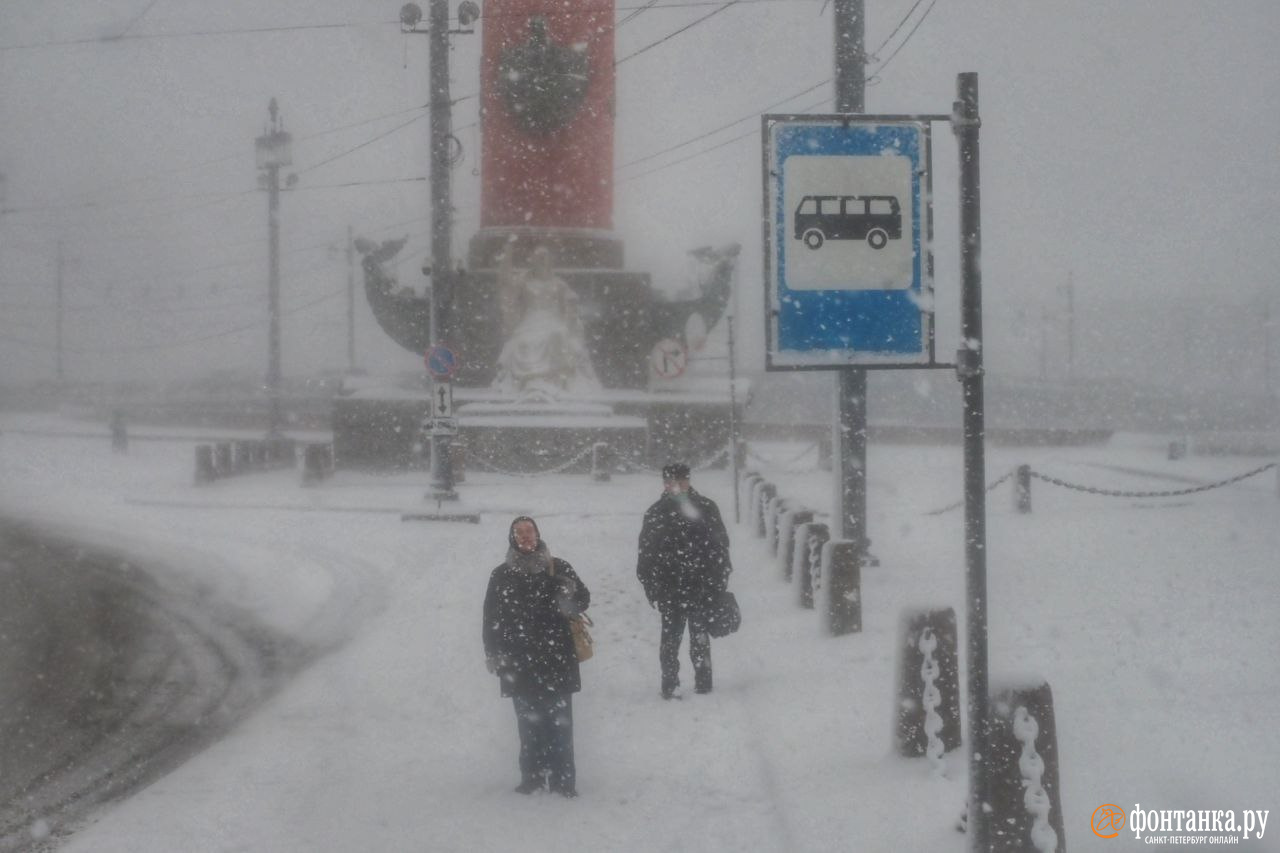 Зима возвращается. Снегопад в Петербурге — не на один день