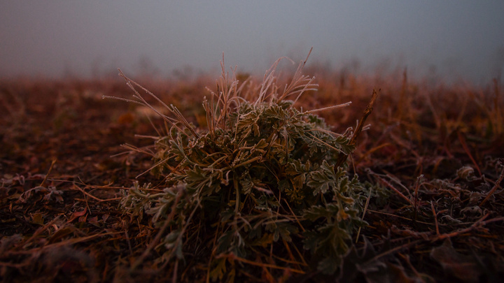 Ливни, ветер и заморозки до -6 °С ожидаются в Иркутской области на выходных