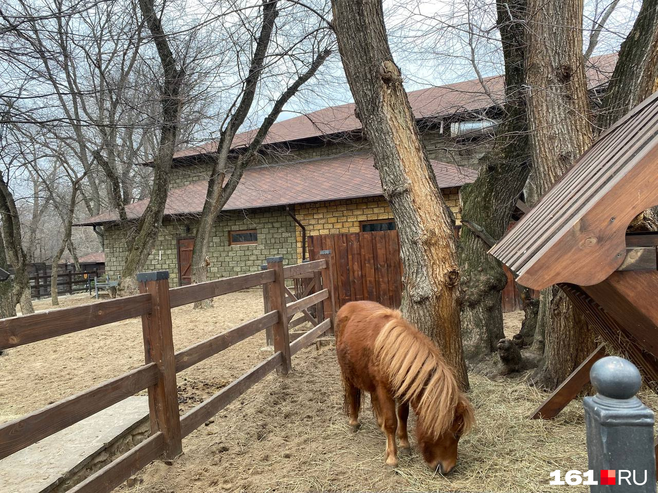 В парке есть и настоящие животные