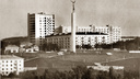 Паниковский есть, а правительства нет: краевед показал редкое фото площади Славы