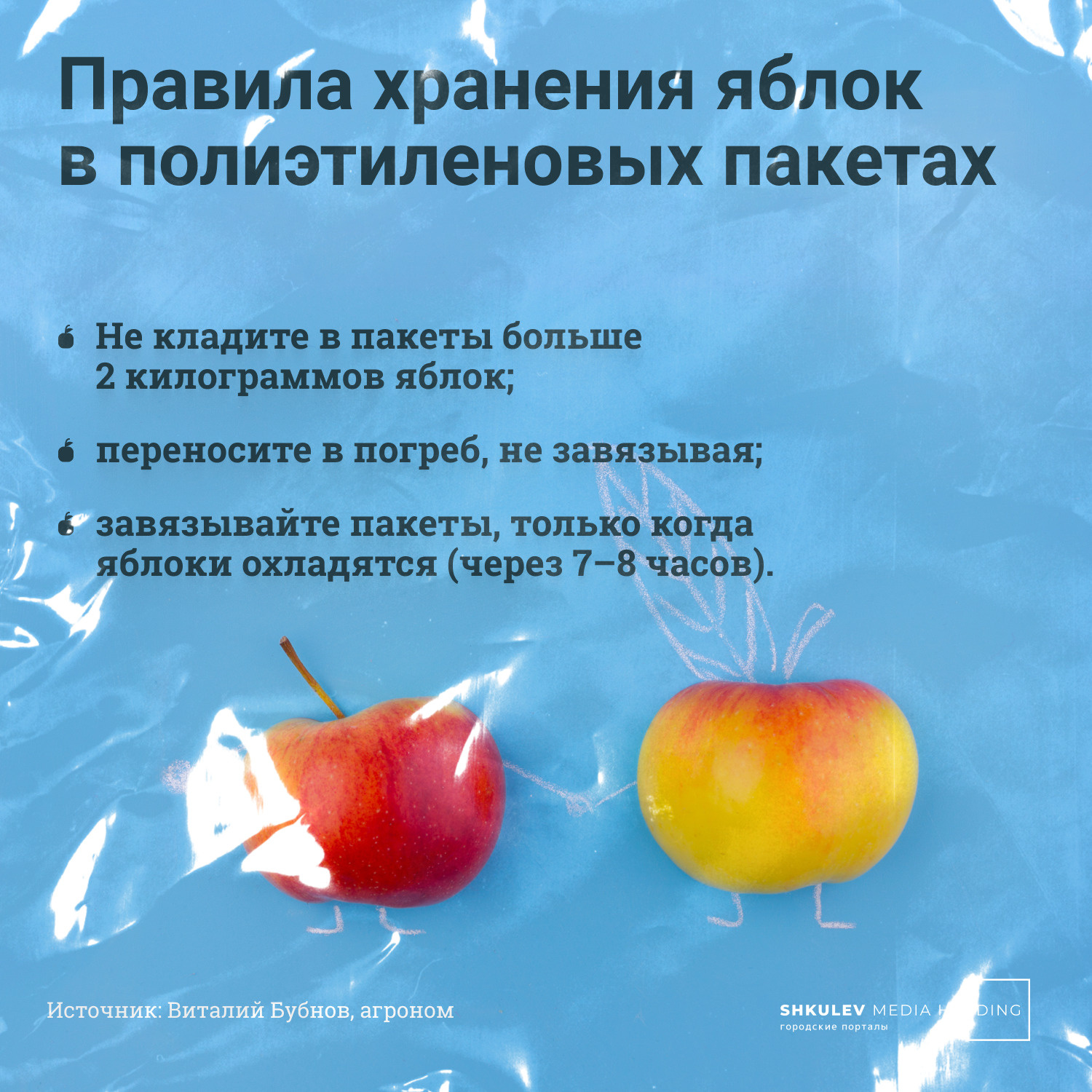 Как хранить яблоки в полиэтилене