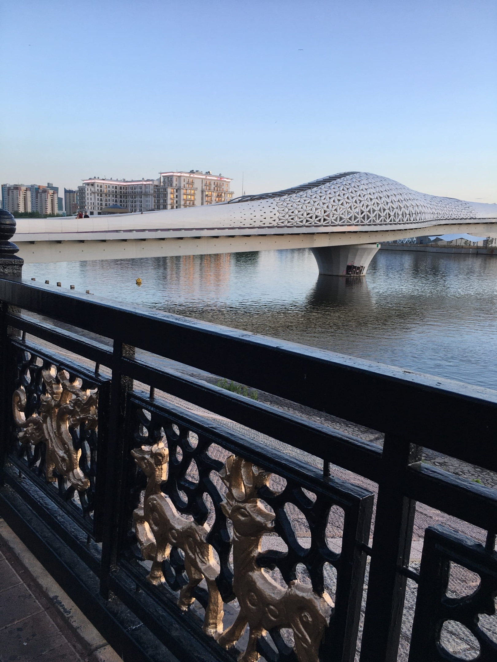 Такой необычный рыба-мост Такой необычный рыба-мост