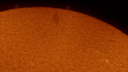 «Видны все вспышки и протуберанцы»: новосибирский астрофотограф сделал высокоточные снимки Солнца