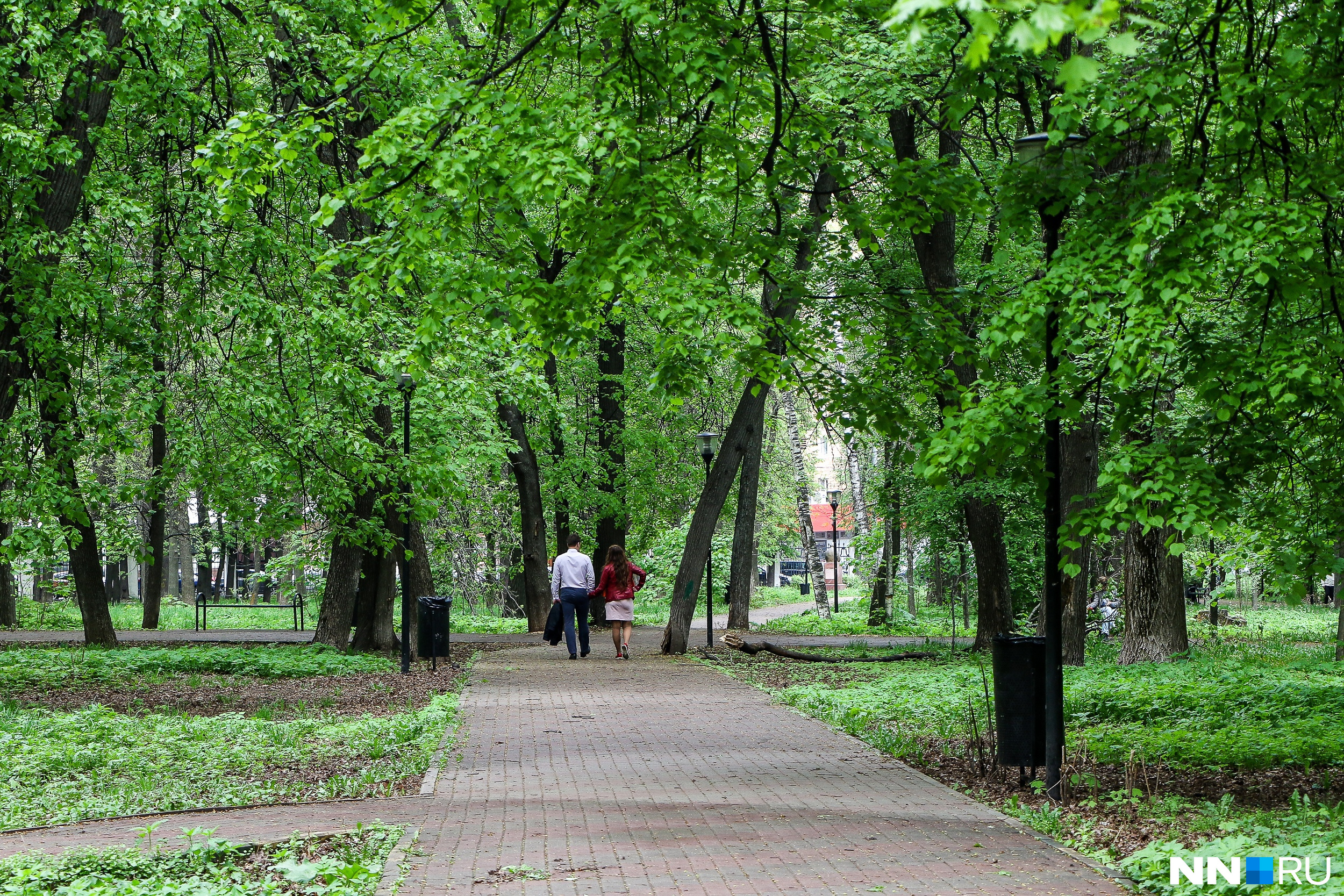 Парк Кулибина с соседним кладбищем приведут в порядок за 123 млн рублей. Рассказываем, что сделают