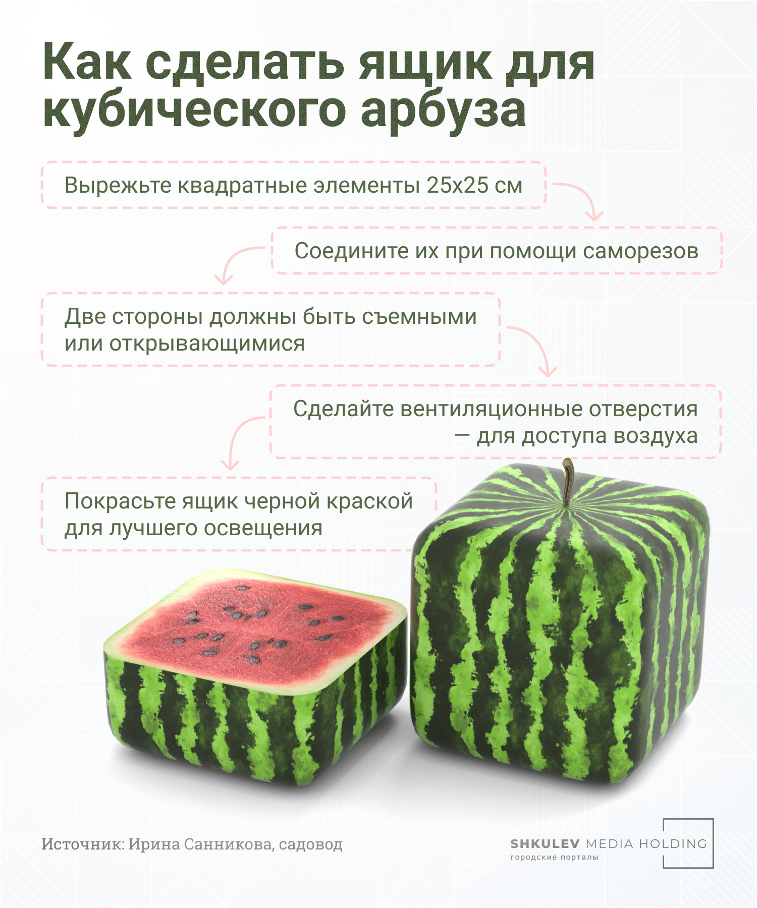 Как вырастить фигурные овощи на садовом участке - 2 июня 2022 - chita.ru