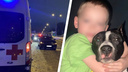 В Архангельске умер семилетний мальчик, которого сбили в ДТП на улице Тимме