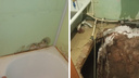 Сибирячка провалилась в прогнивший пол: видео из дома с огромной дырой в ванной комнате