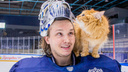Хоккеисты «Сибири» поучаствовали в благотворительной фотосессии с животными — умиляемся фотографиям