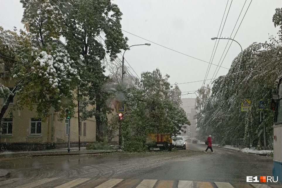 В Екатеринбурге из-за метели массовый «деревопад». Что делать, если придавило машину?