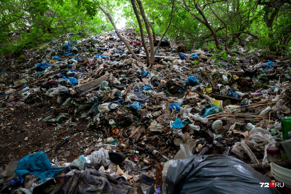 Свалка мусора в логе реки Тюменки