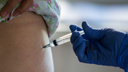 В Новосибирской области нашли первых заболевших гриппом — в прошлом году вирус не регистрировали