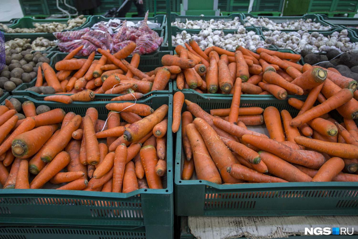 Как правильно хранить морковь дома: техники и советы