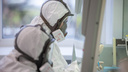 Почему власти испугались чумы и холеры — мнение бывшего главы отдела особо опасных вирусных инфекций «Вектора»