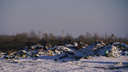 Почти 11 тысяч тонн мусора вывезли с незаконной свалки на Ключ-Камышенском плато