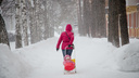 «Будет теплее, но не особо комфортно»: морозы в Новосибирске сменятся снегом и порывистым ветром