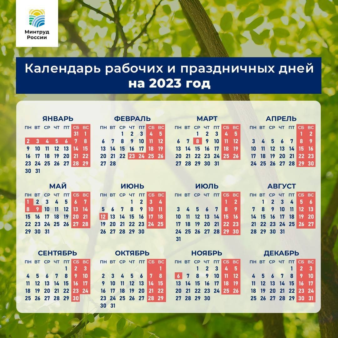 Выходные дни в 2023 году и сколько продлятся новогодние каникулы, смотрите  в календаре выходных Минтруда - 23 июня 2022 - ФОНТАНКА.ру