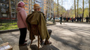 Парад во дворе: ветеранов ВОВ начали поздравлять в Новосибирске — 15 эмоциональных фото