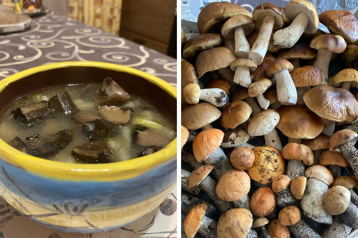 Невероятно ароматный суп пюре из грибов с картофелем