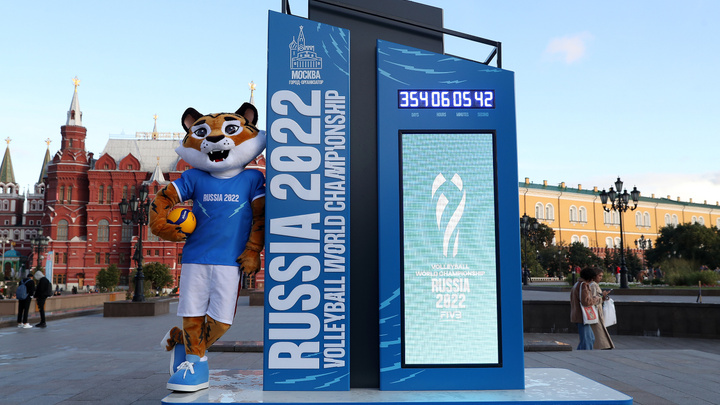 Как амурский тигр стал талисманом чемпионата мира по волейболу — 2022: маскот скоро приедет в Красноярск