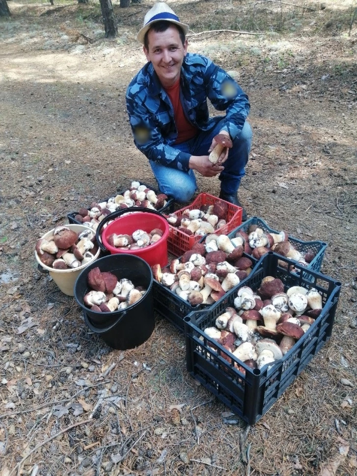 Андрей похвастался урожаем грибов (собраны в лесах Боровлянки)...