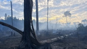 В Поморье снова горят леса: к тушению привлекли парашютистов-пожарных