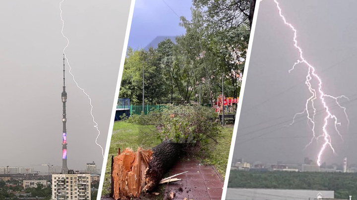Молнии, ливень и поваленные деревья. Онлайн-репортаж о непогоде в столице