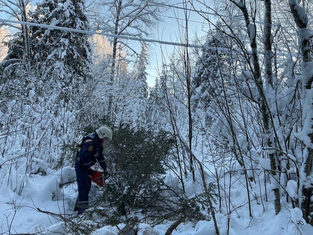 Петербургские спасатели со снегоходами и бензопилами помогают не замерзнуть жителям Новгородской области