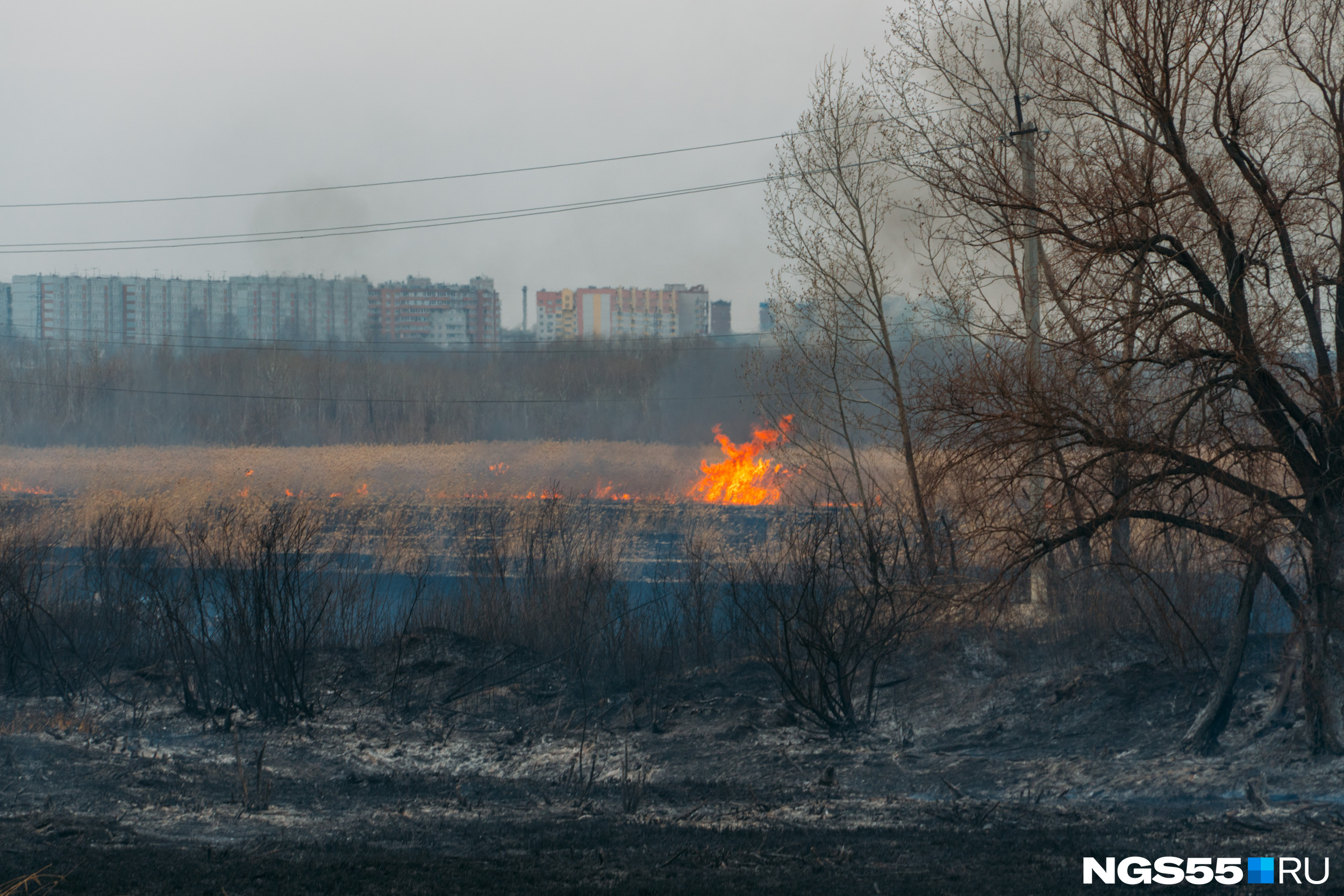 Пожар. Горящее поле. Пожар в Омске на левом берегу.