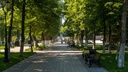 Властям предложили разбить парк на улице Алма-Атинской