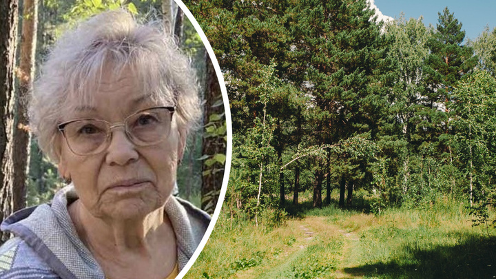 77-летняя тюменка ушла за грибами и не вернулась. Для ее поисков набирают добровольцев