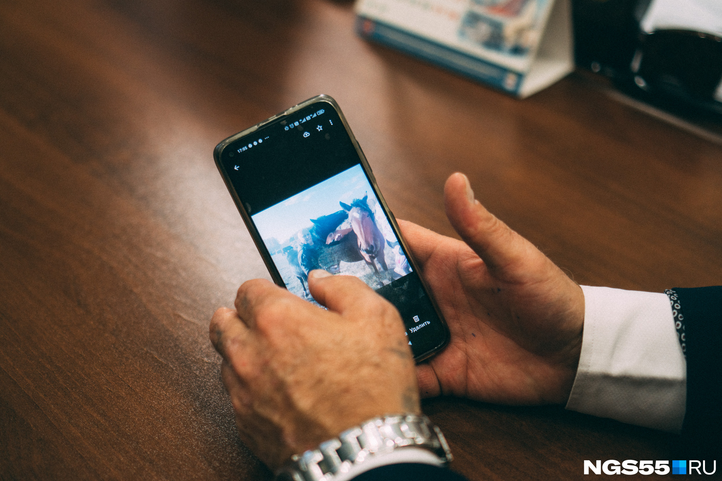 Таких снимков в телефоне Николая Дрофы огромная гора. Чиновник с легкостью называет породу каждой лошади