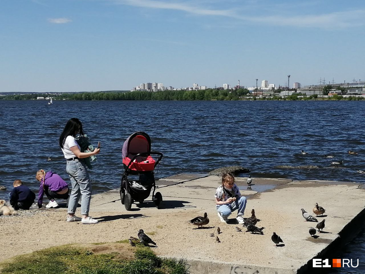 У воды хорошо, а если ты птица, то там еще и кормят У воды хорошо, а если ты птица, то там еще и кормят