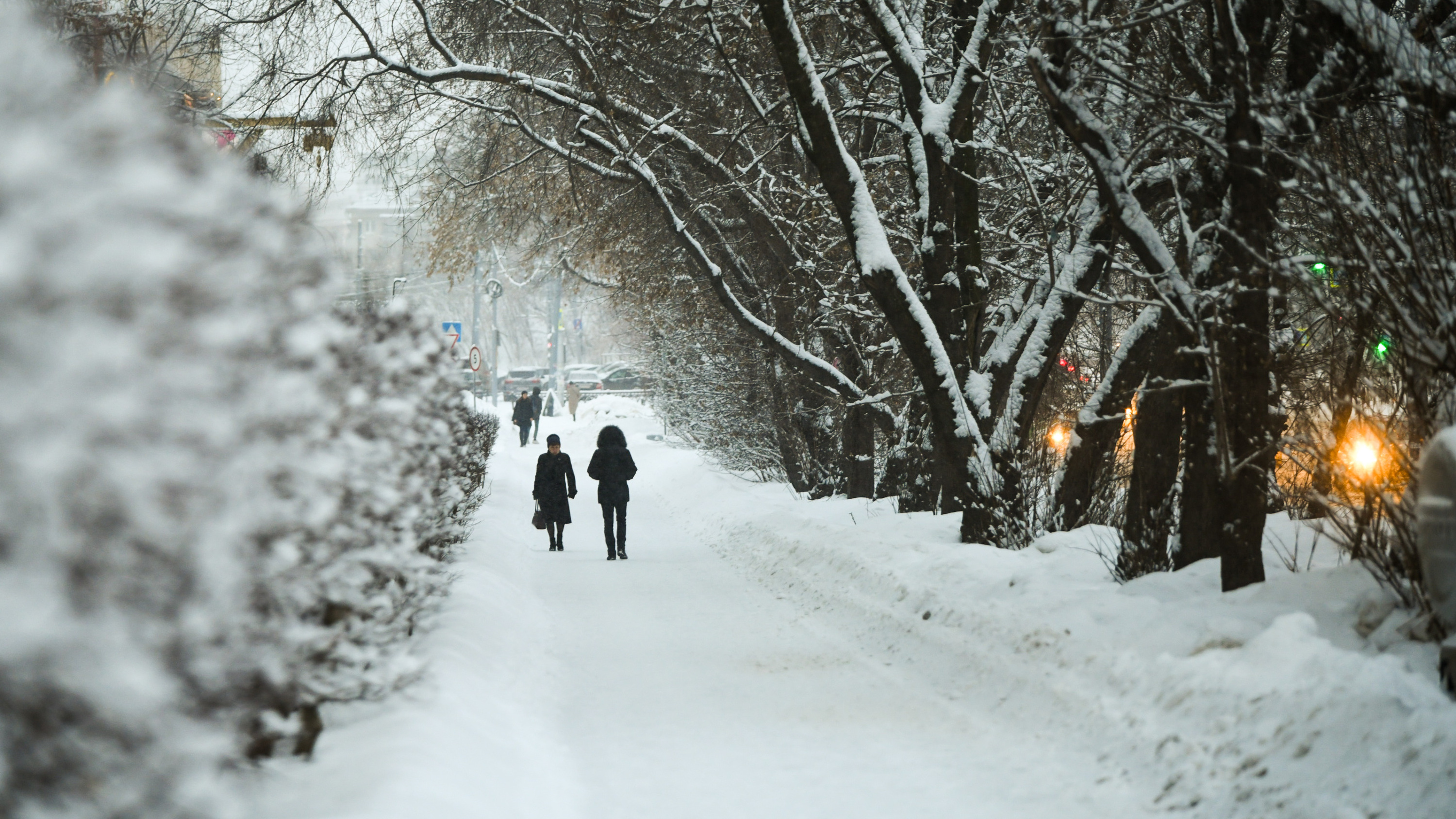 В январе Екатеринбург завалит снегом: прогноз на самый морозный месяц зимы