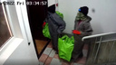 Как обокрали квартиру липовые дезинсекторы в Суворовском: видео