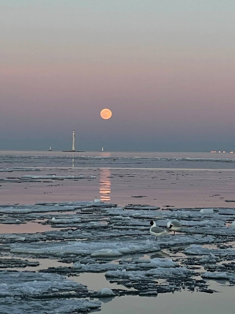 Луна в питере сегодня фото