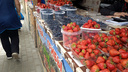 Кубанская клубника, бакинская черешня и жимолость из Барабинска — почем ягода у уличных торговцев