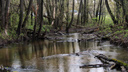 В Волгоградской области расчистят реку Иловлю