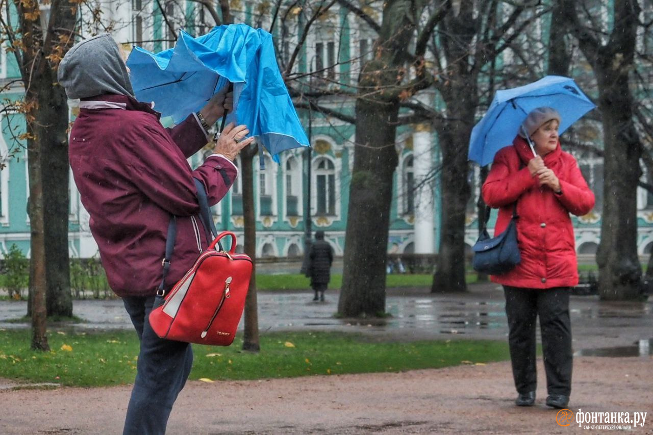 Куда сходить в питере если дождь. Теплая погода. Питер в ноябре. Петербург дождь в ноябре. Тепло и пасмурно.