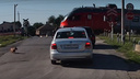В Таганроге пенсионерку «сдуло» под колеса электрички — видео