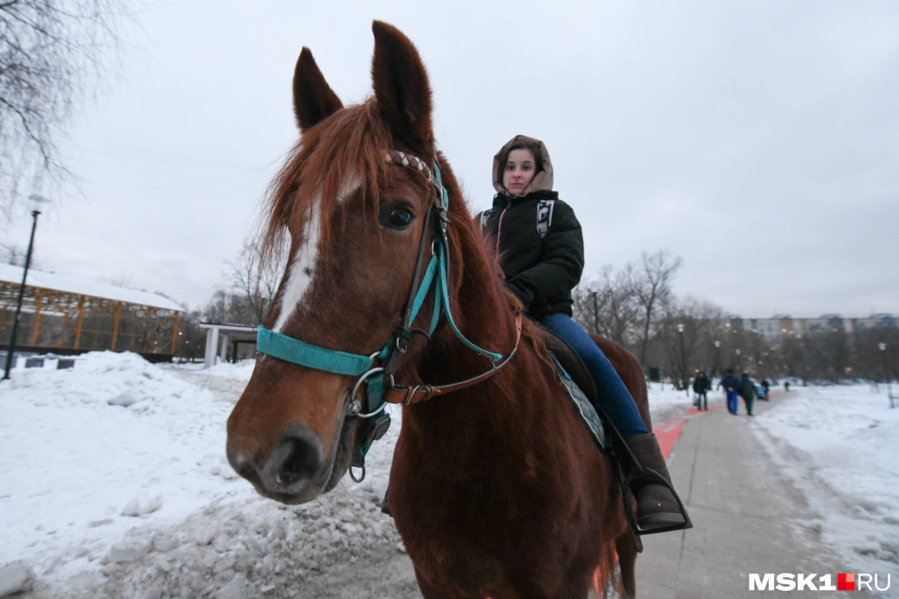Почему Гольяново в Москве считается одним из самых опасных районов во ...