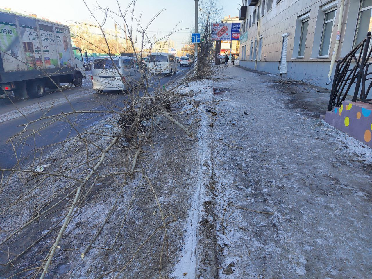 Деревья, поваленные из-за ДТП, валяются на проезжей части в Чите