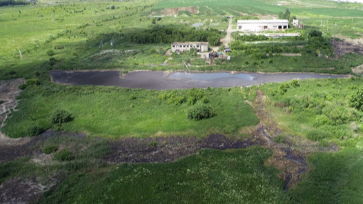 Свиноводческий комплекс татарстанского магната загрязнил сразу несколько рек. Рассказываем подробности