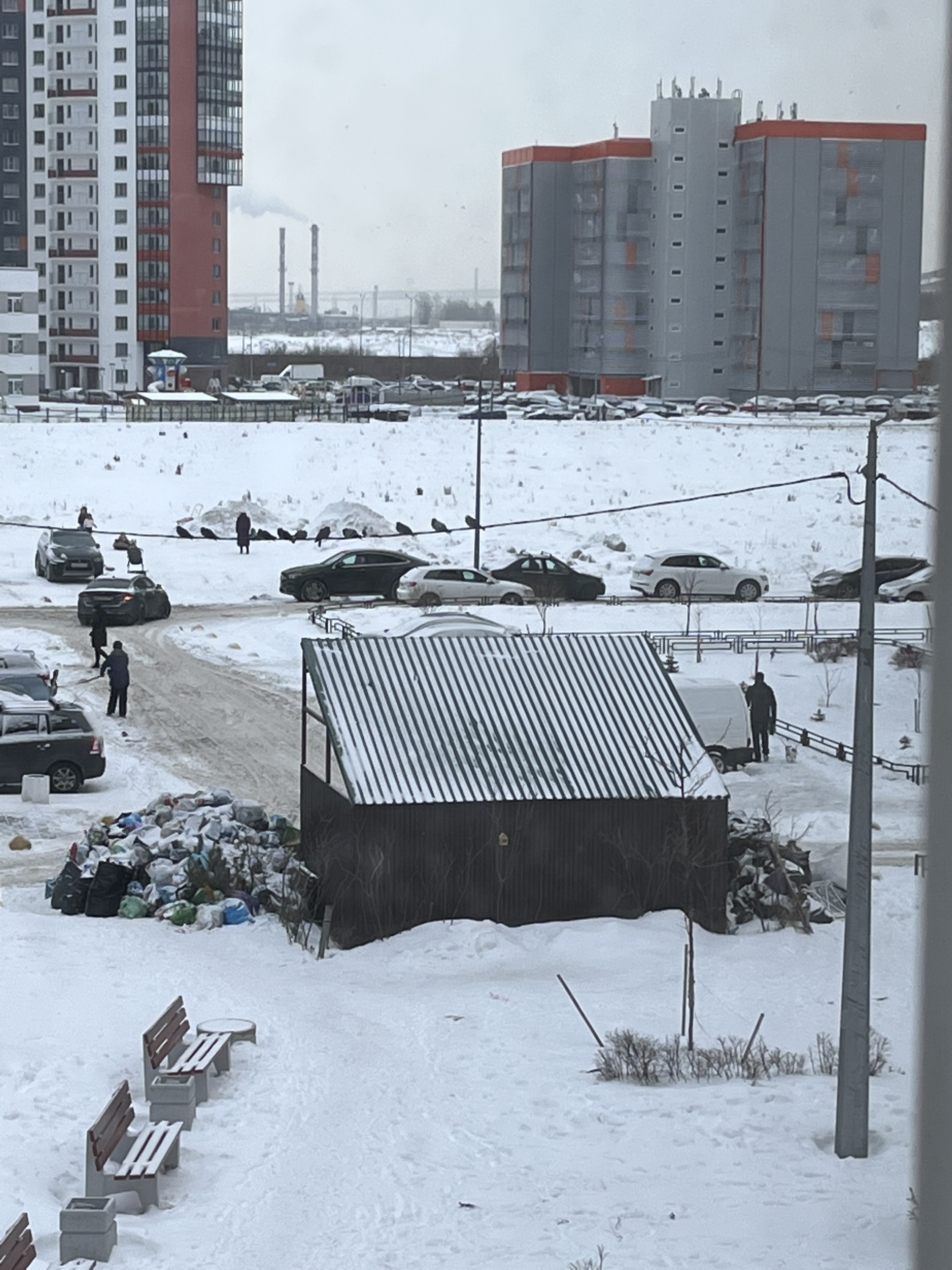 Петербуржцы продолжают жаловаться на невывезенный мусор - 4 января 2022 -  ФОНТАНКА.ру