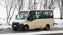 Автобусы до села Усть-Гаревая временно запустит перевозчик из Перми