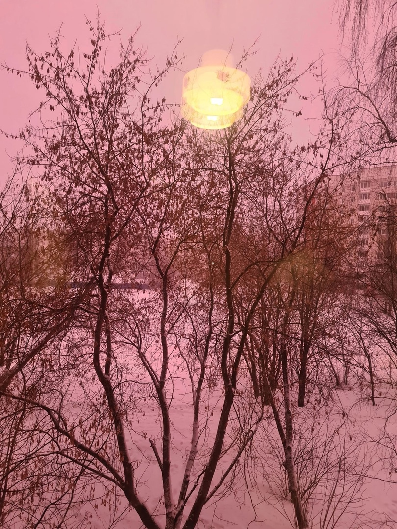 Очень необычно: розовое небо, розовый снег