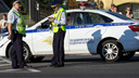 Лося сбила машина на улице Куйбышева в Нижнем Новгороде