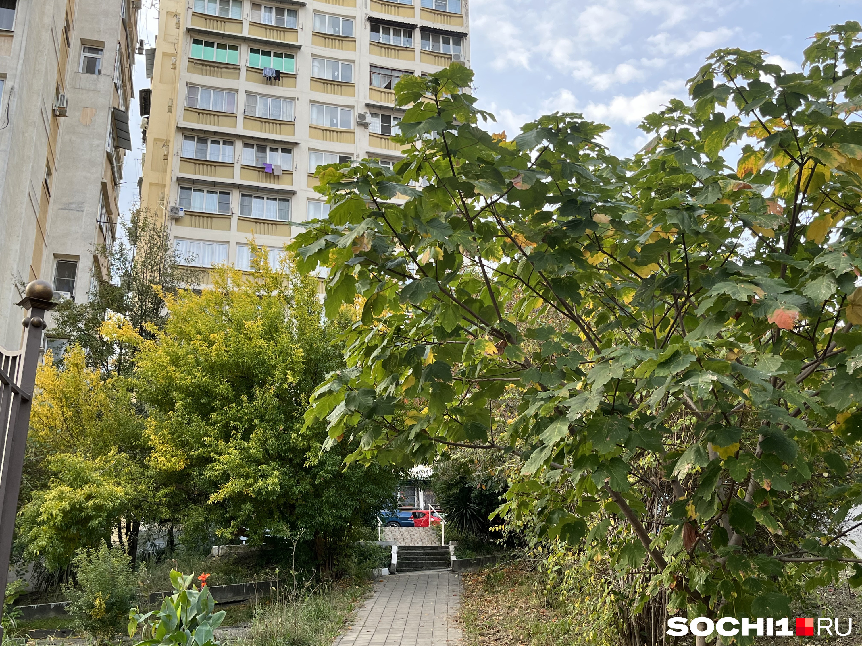 Как лихорадит рынок недвижимости Сочи и в какую недвижимость на курорте  вкладывать деньги - 17 ноября 2022 - УФА1.ру