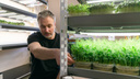 «Может каждый»: бизнесмен из Архангельска увлекся выращиванием микрозелени — зачем ему это