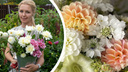 «Хотела отвлечься от бытовых проблем»: юрист из Ярославля рассказала, как открыла цветочный бизнес