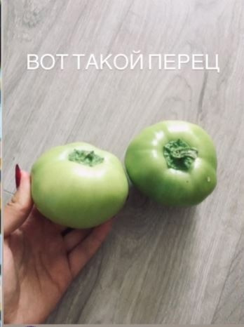 Ксения Шик прислала такие вот перчики, которые смахивают на помидоры. Видели такие?